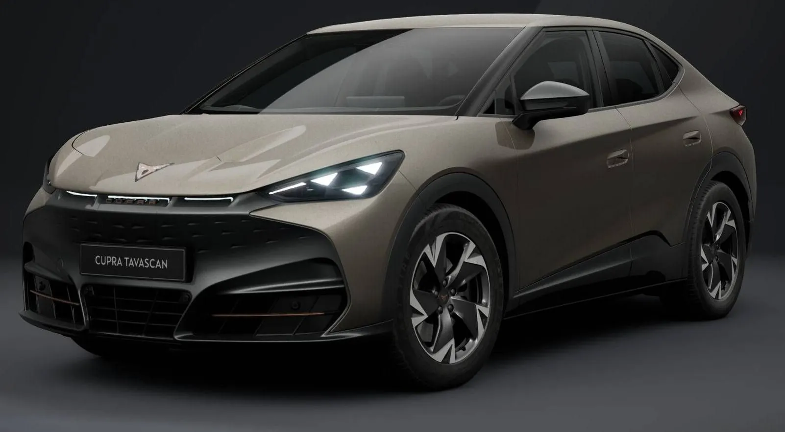 Zunanja slika - Cupra Tavascan - Endurance - Novo modelsko leto... - 1