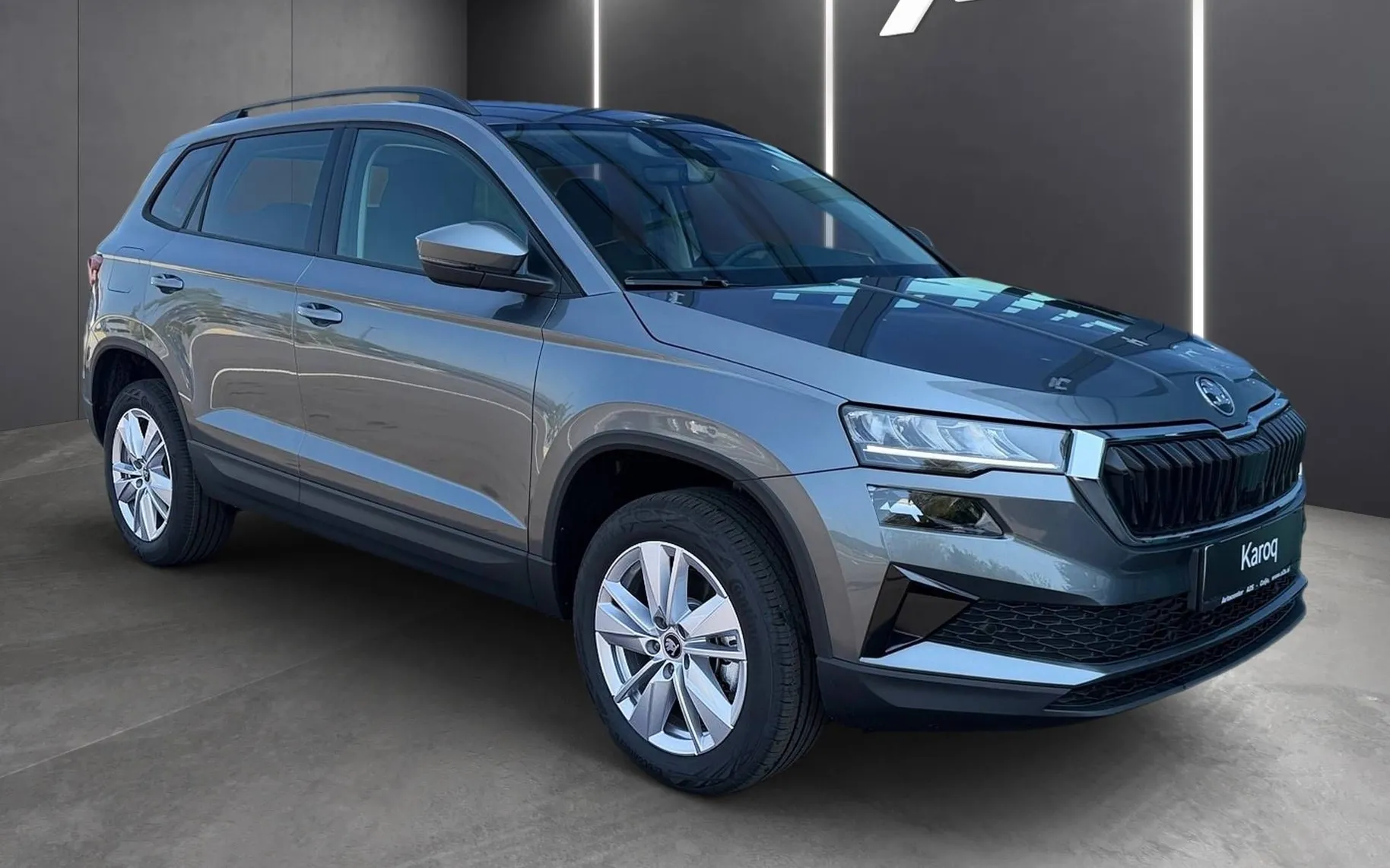 Zunanja slika - Škoda Karoq - 2.0 TDI Edition DSG... - 3