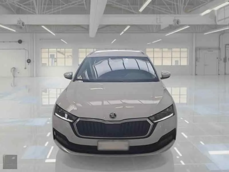 Zunanja slika - Škoda Octavia - 2.0 TDI EVO 110KW EXECUTIVE.NAVI.TOP.. - 5
