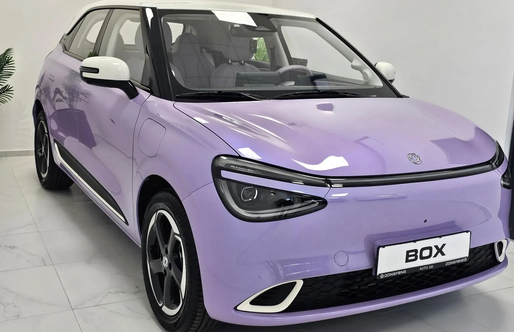 Zunanja slika - Dongfeng Box - Long Range-PURPLE- NA ZALOGI - 10