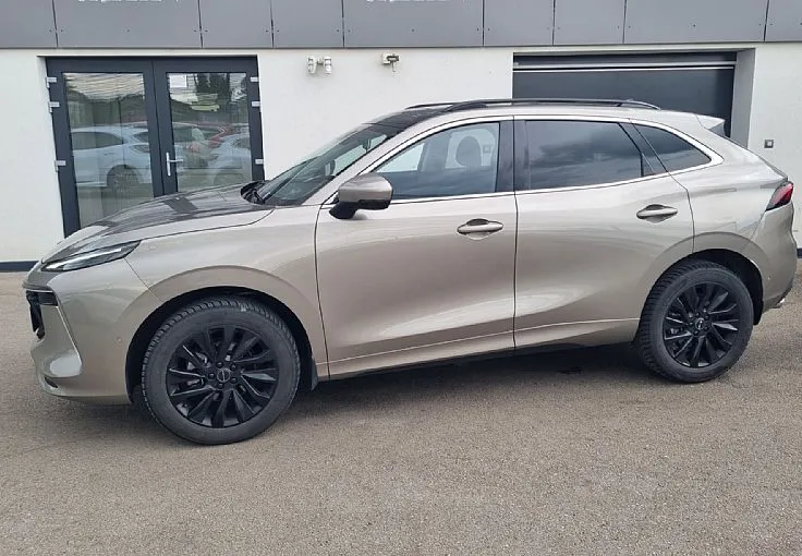 Zunanja slika - Forthing Forthing T5 EVO - T5 Evo Luxury PRVI LASTNIK .SERVISNA.SLO - 1