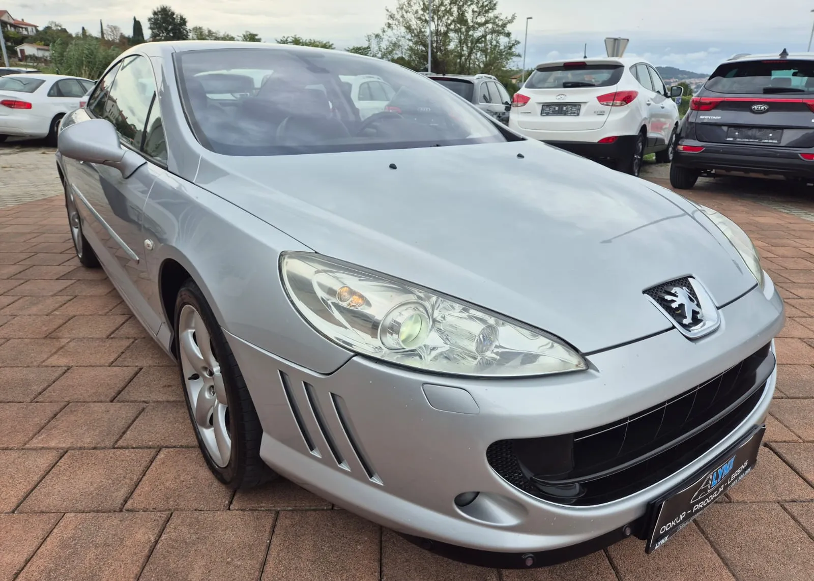 Zunanja slika - Peugeot 407 - 407 - 8