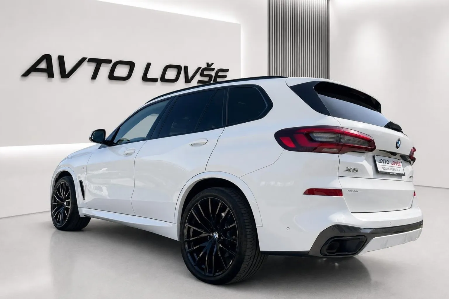 Zunanja slika - BMW serija X5: - xDrive30d-1 LASTNIK-KAM 360-LED-22 COL-ODLIČNA... - 5