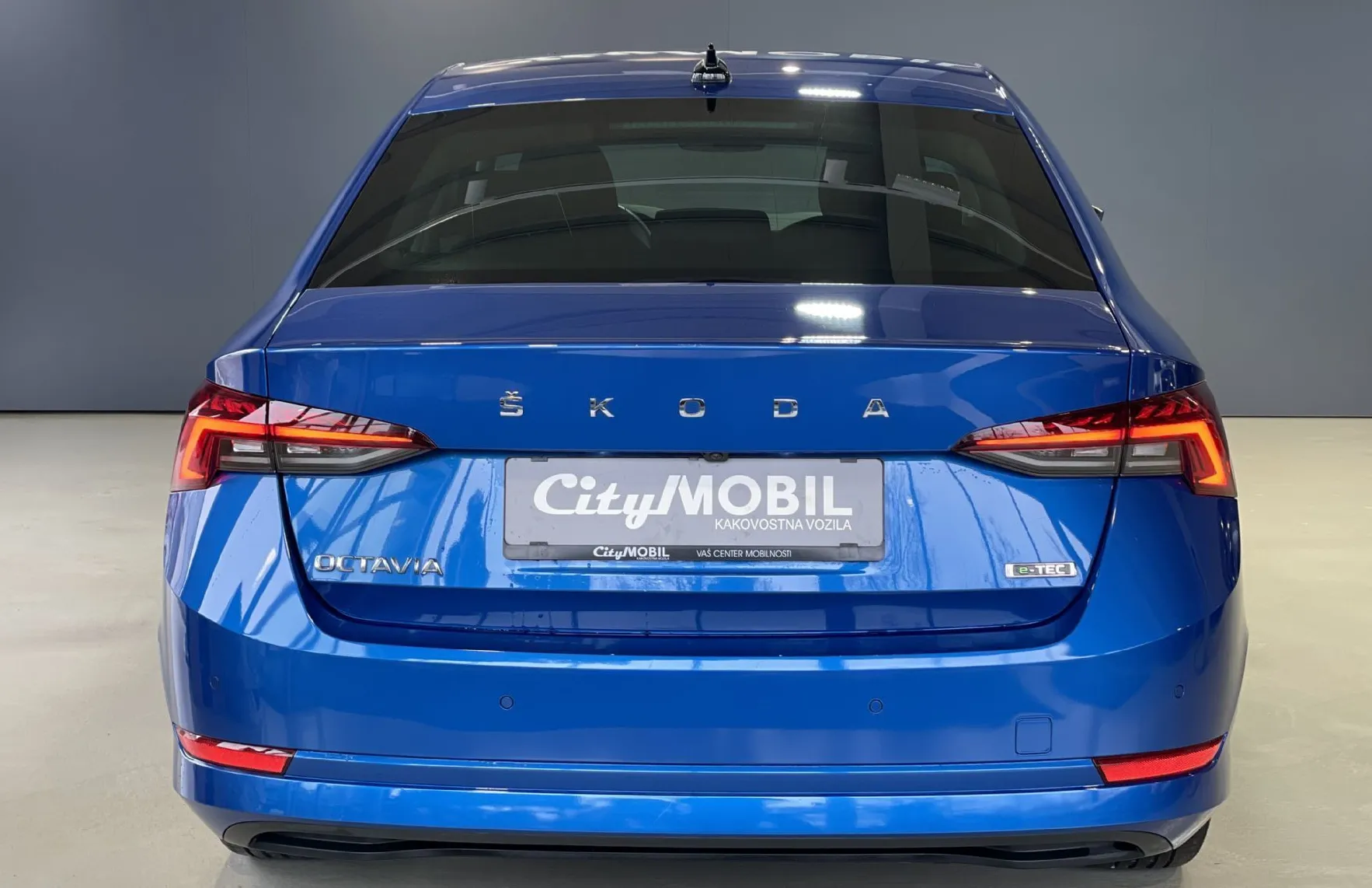 Zunanja slika - Škoda Octavia - 1.LASTNIK-RADAR-VIRTUAL-KEYLESS-NAVIGACIJA-MEMORY - 6