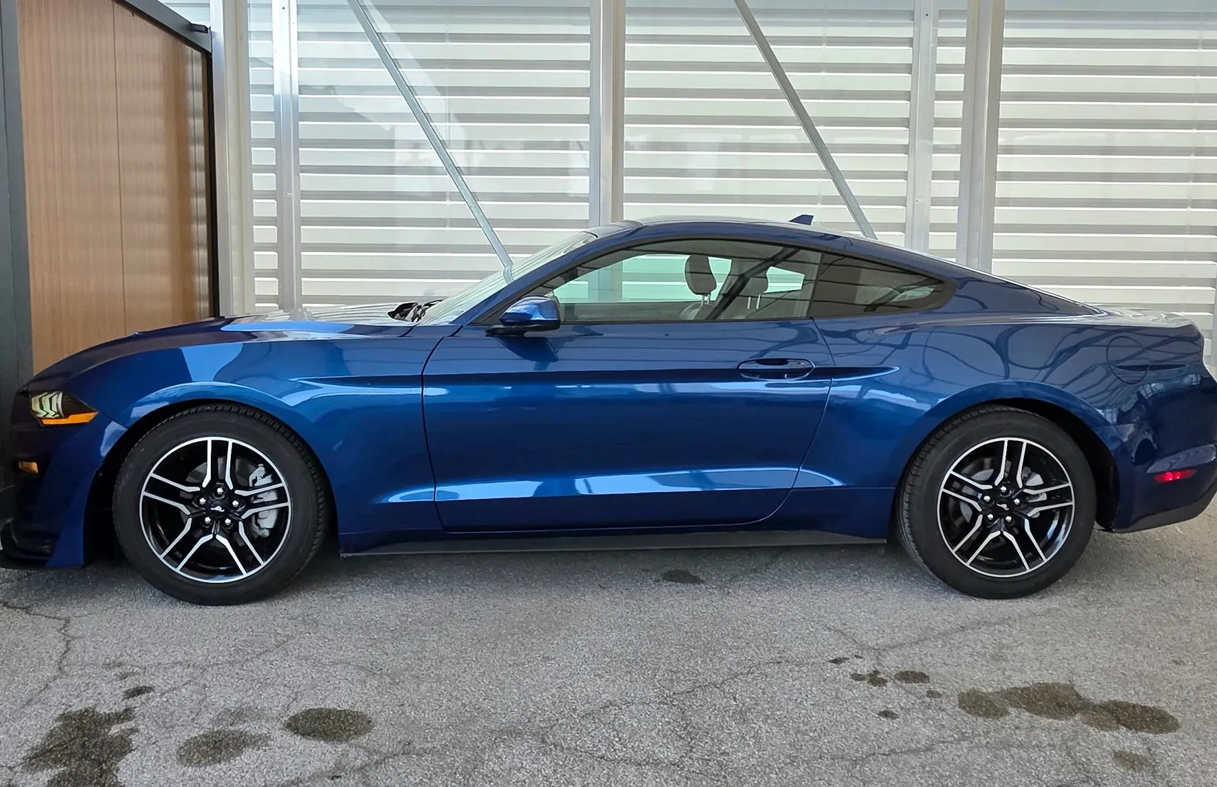 Zunanja slika - Ford Mustang - 2.3 - LED - USNJE - GR. + HLAJ. SED. - KAMERA - 6