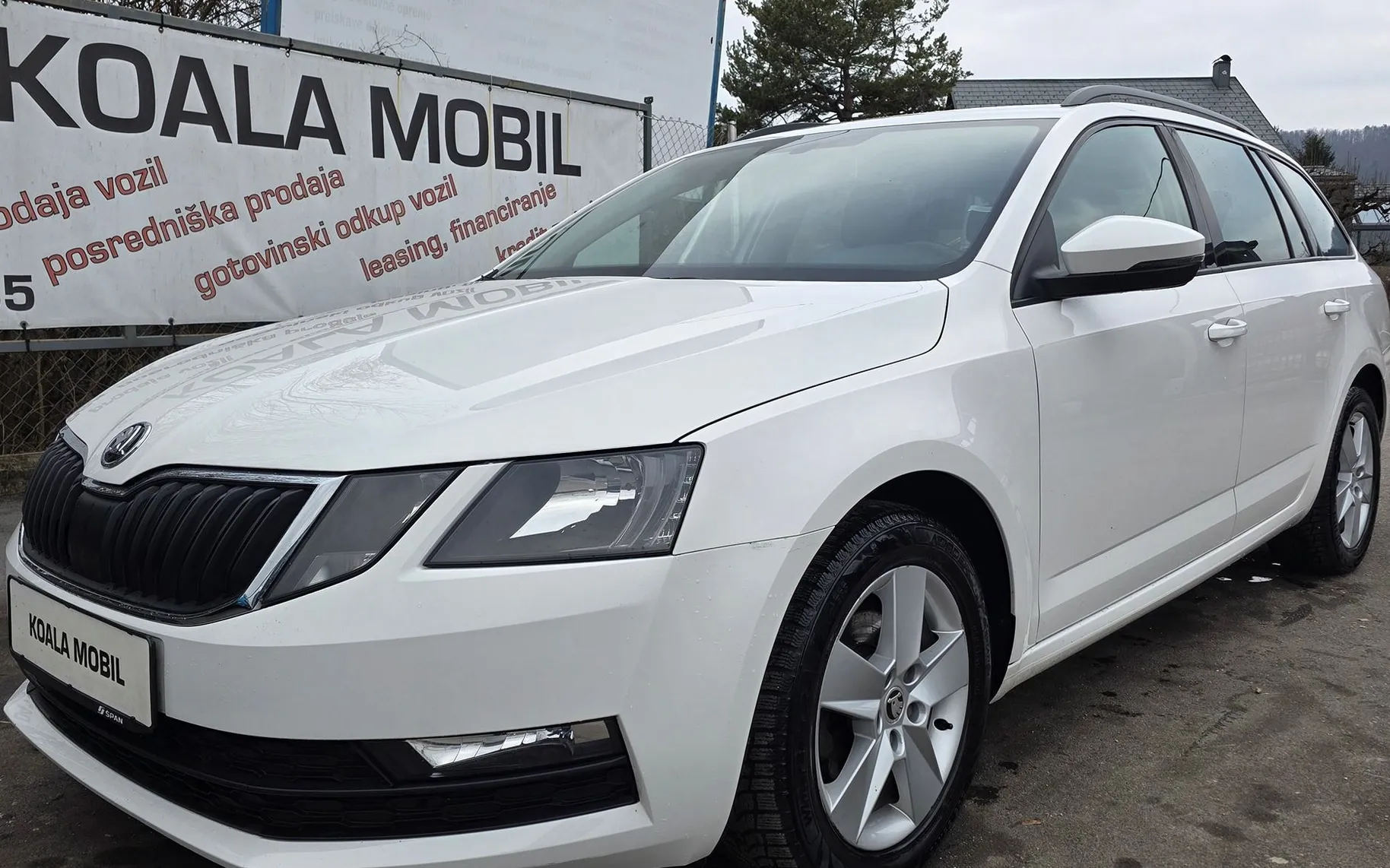 Zunanja slika - Škoda Octavia - 1.6 TDI STYLE ALU PLATIŠČA-MF-ZALSON-SLOVENSKA - 18