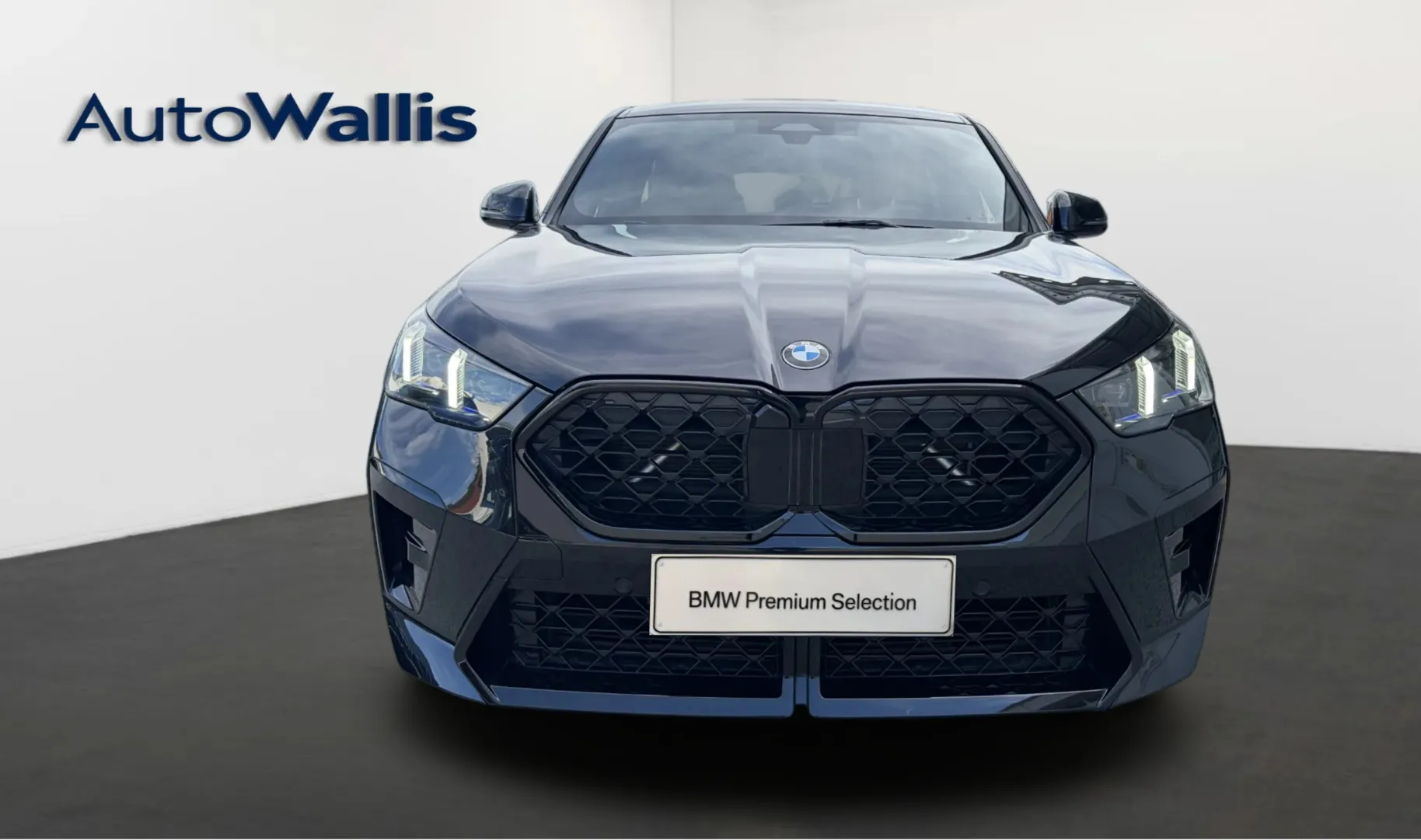 Zunanja slika - BMW X2 - sDrive20i - 12