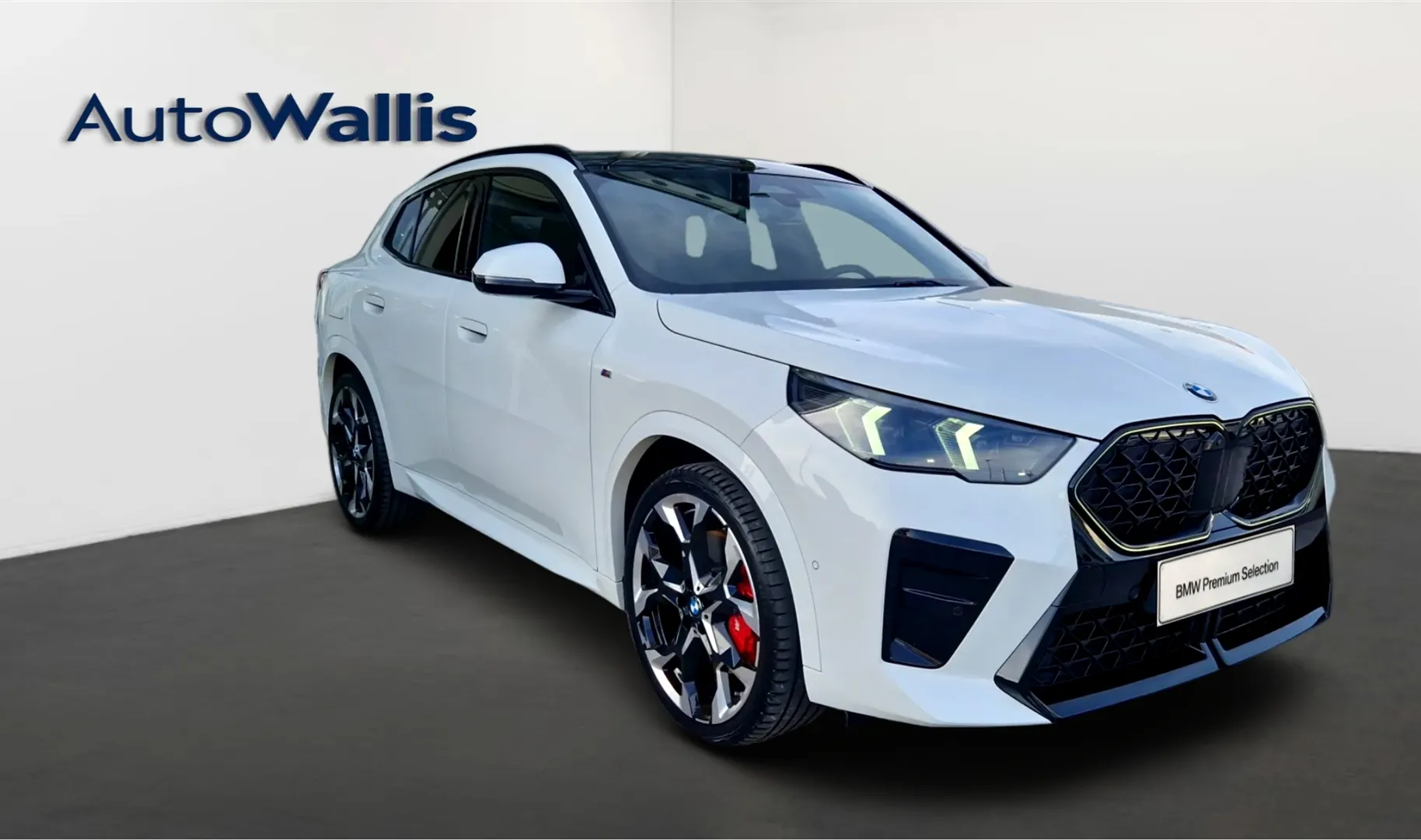 Zunanja slika - BMW X2 - xDrive20d - 11