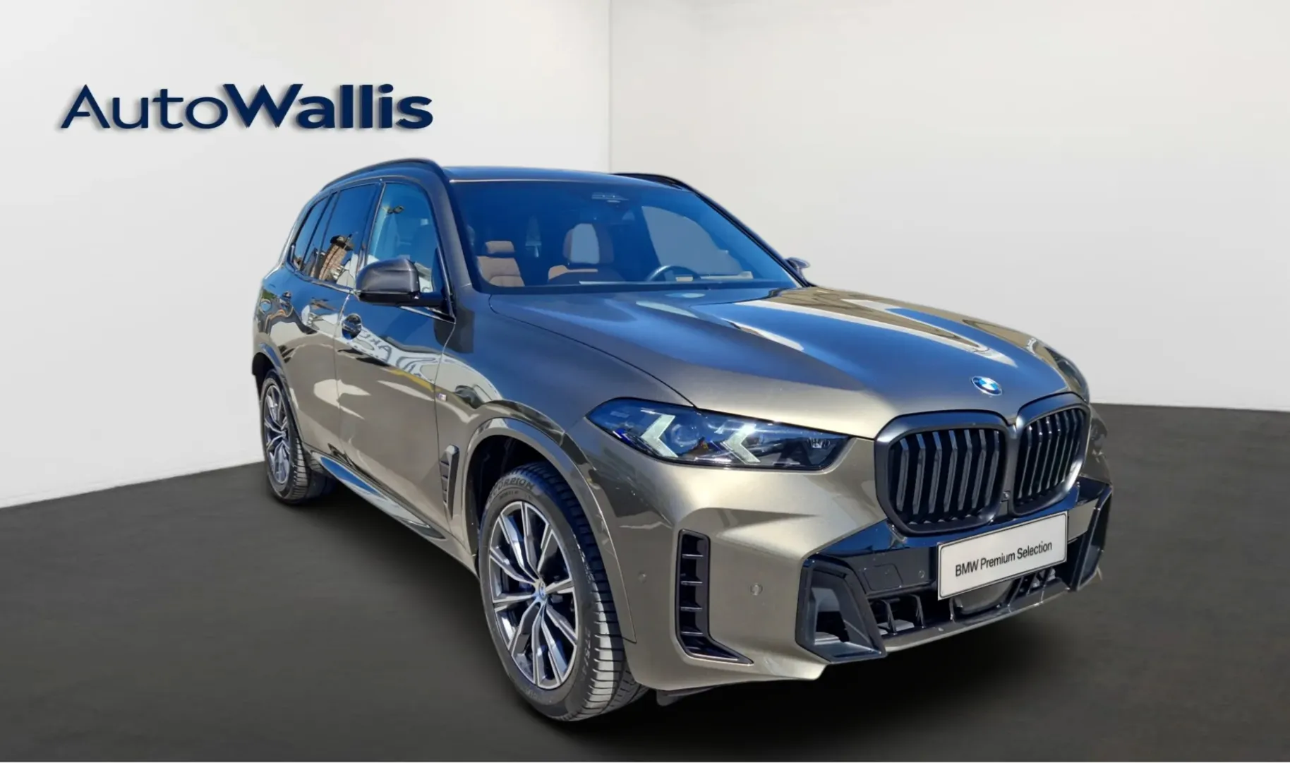 Zunanja slika - BMW X5 - xDrive30d - 11
