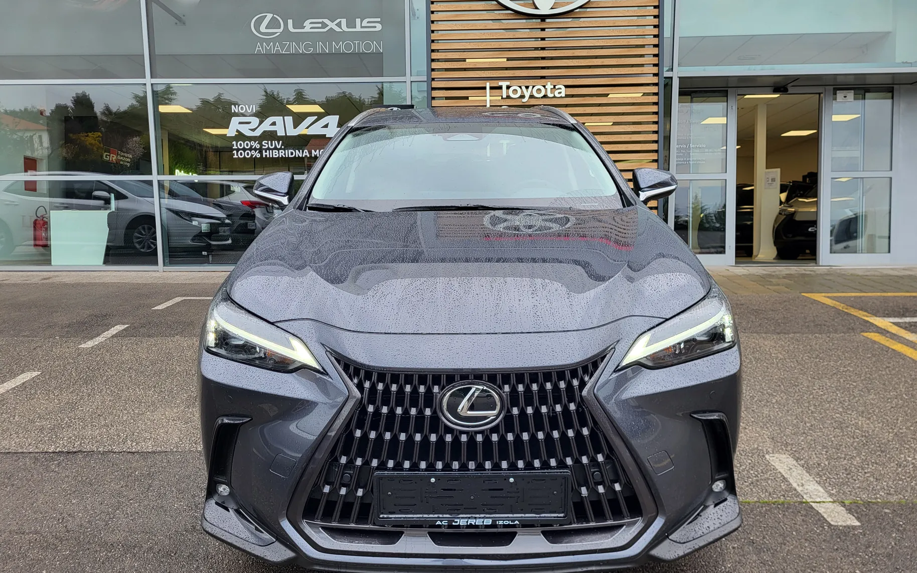 Zunanja slika - Lexus NX - NX - 3