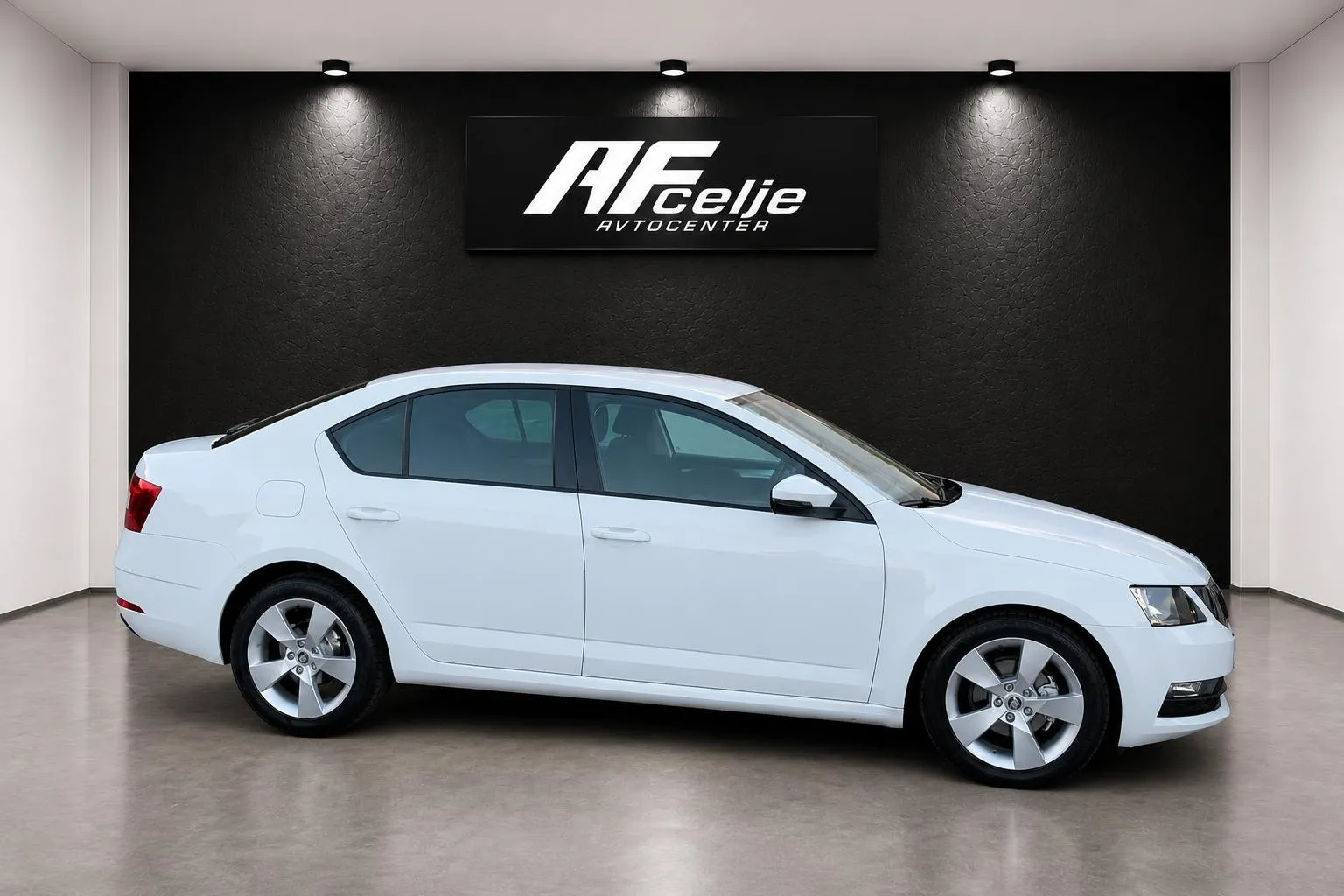 Zunanja slika - Škoda Octavia - 1.6 TDI-LED-LIZING ZA TUJCE-TEMPOMAT-PDC- - 3