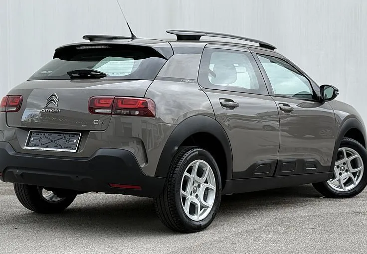Zunanja slika - Citroën C4 Cactus - PureTech 110 SLOVENSKI-1.LASTNIK - 4