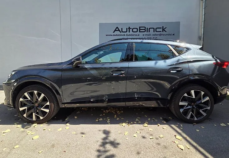 Zunanja slika - Cupra Formentor - 4Drive 2.0 TSI DSG - 3