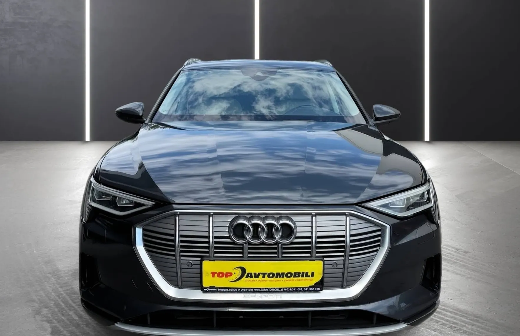 Zunanja slika - Audi e-tron - 50 QUATTRO FULL LED KAMERA ZRAČNO RADAR LINE ASSIS - 11