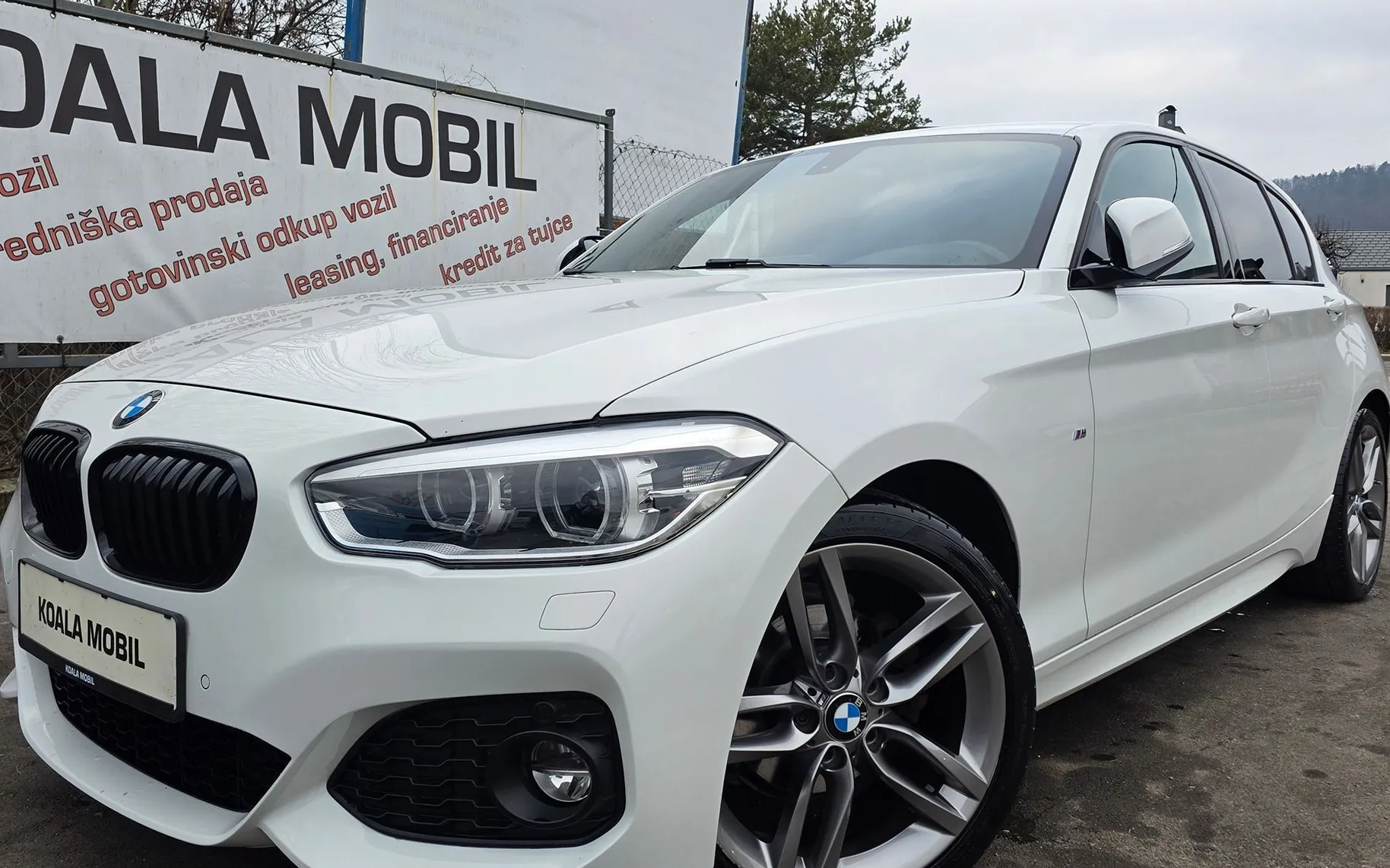 Zunanja slika - BMW Serija 1 - : 116D M SPORT LED-AVT.-NAVI-1.LASTNIK-SLOVENSKI - 19