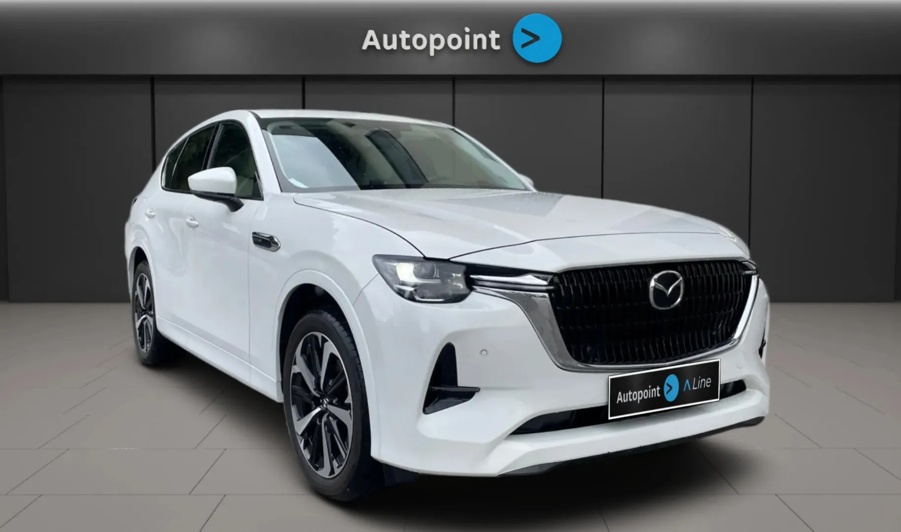 Zunanja slika - Mazda CX-60 - Mazda - 1