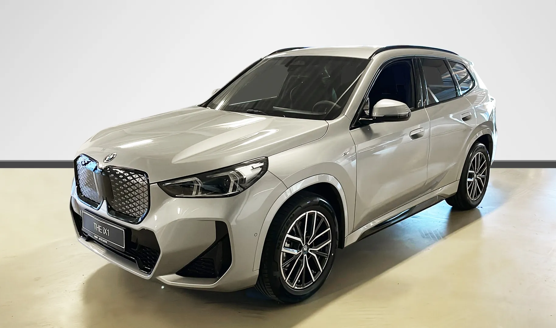 Zunanja slika - BMW iX - 1 xDrive30 - 1