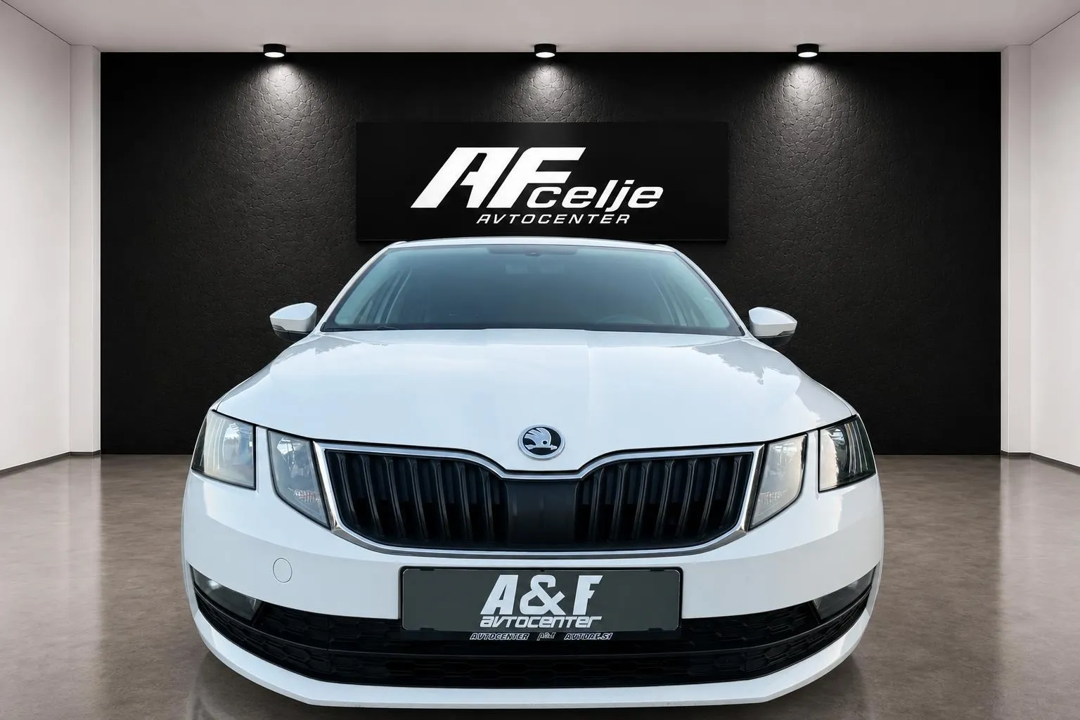 Zunanja slika - Škoda Octavia - 1.6 TDI-LED-LIZING ZA TUJCE-TEMPOMAT-PDC-... - 2