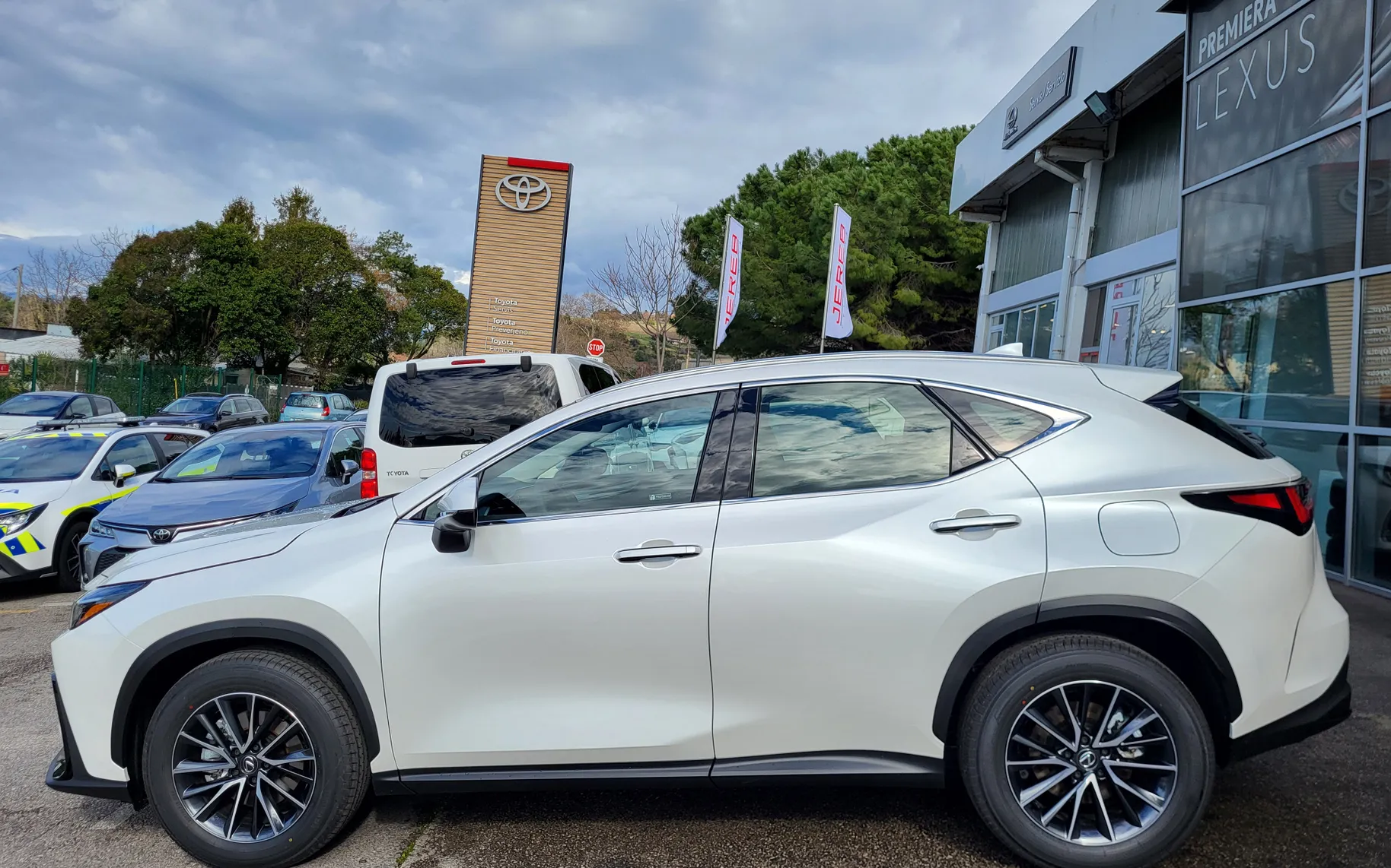 Zunanja slika - Lexus NX - NX - 1