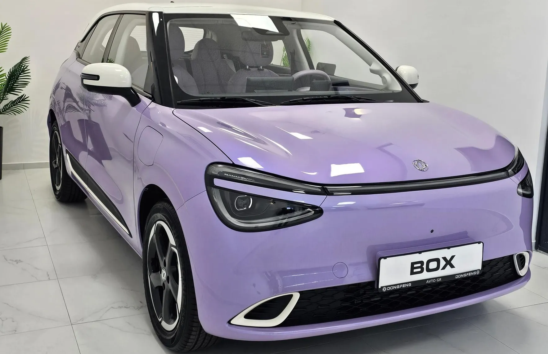 Zunanja slika - Dongfeng Box - Long Range-PURPLE- NA ZALOGI - 11
