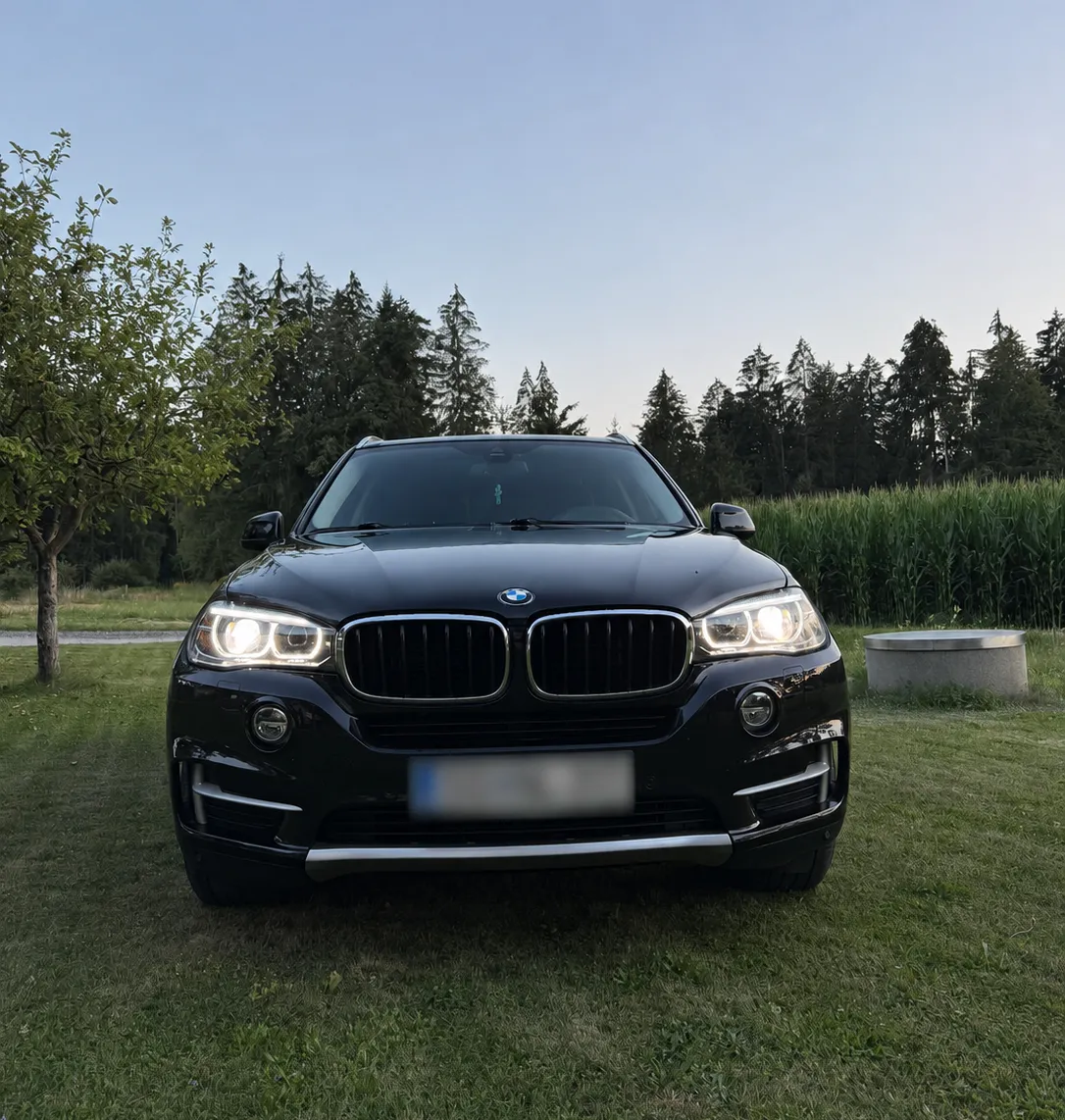 Zunanja slika - BMW X5 - xDrive30d Avt. - 2