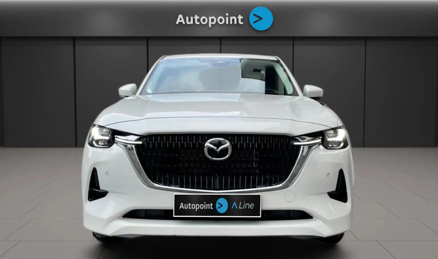 Zunanja slika - Mazda CX-60 - Mazda - 2