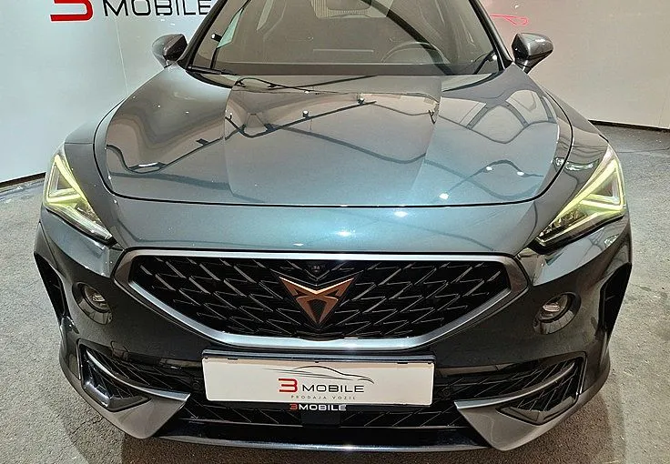 Zunanja slika - Cupra Formentor - 4Drive 2.0 TDI DSG 19COL-ACC-360°KAM-ŠP.SEDEŽI - 2