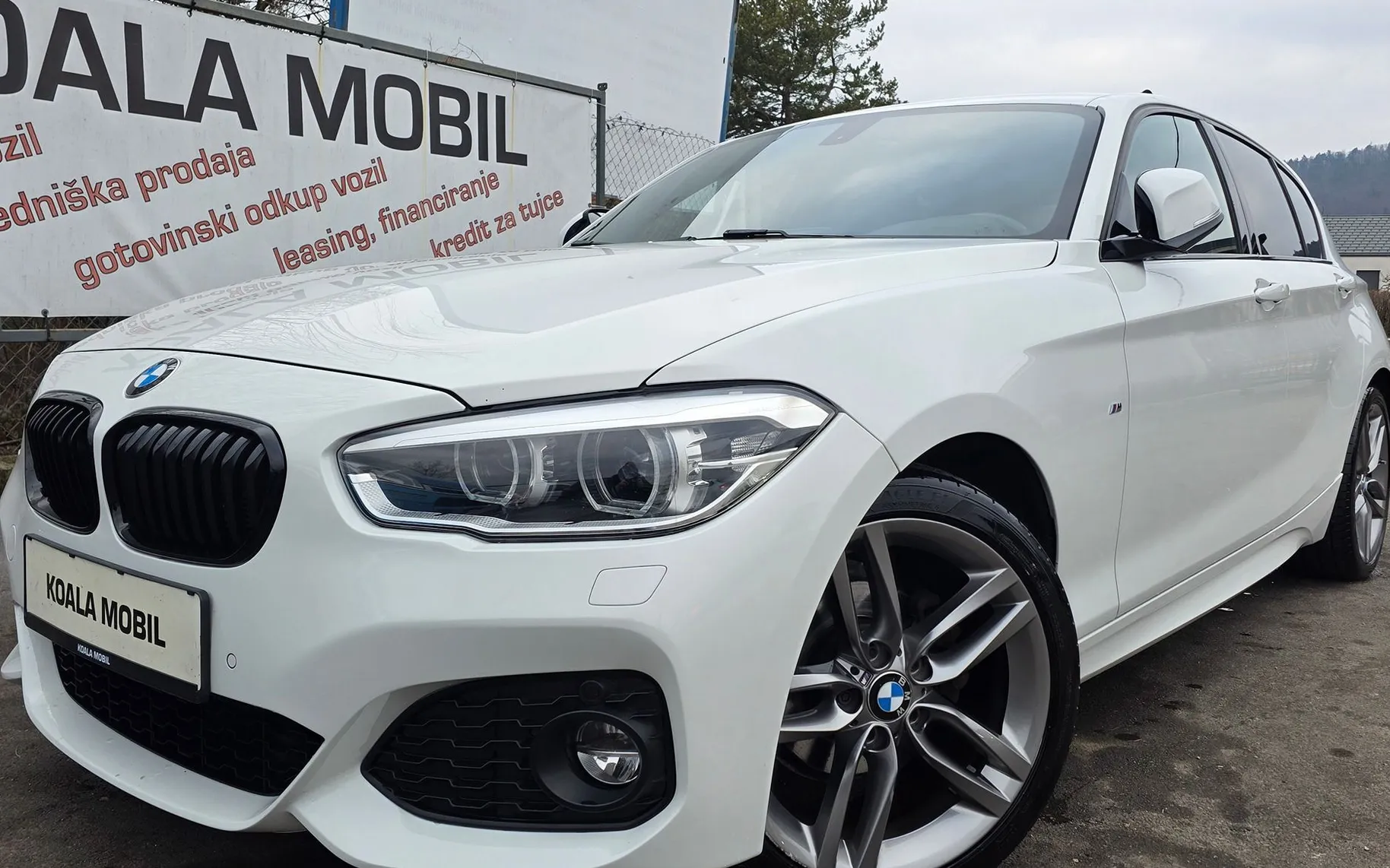 Zunanja slika - BMW Serija 1 - : 116D M SPORT LED-AVT.-NAVI-1.LASTNIK-SLOVENSKI - 1