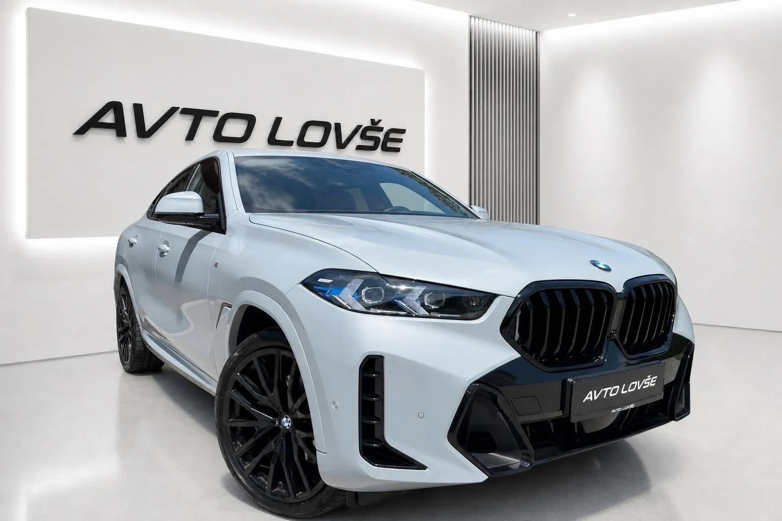Zunanja slika - BMW serija X6: - xDrive30d Avt.M PRO-ICONIC-SOFT CL-LASER-PANO... - 2