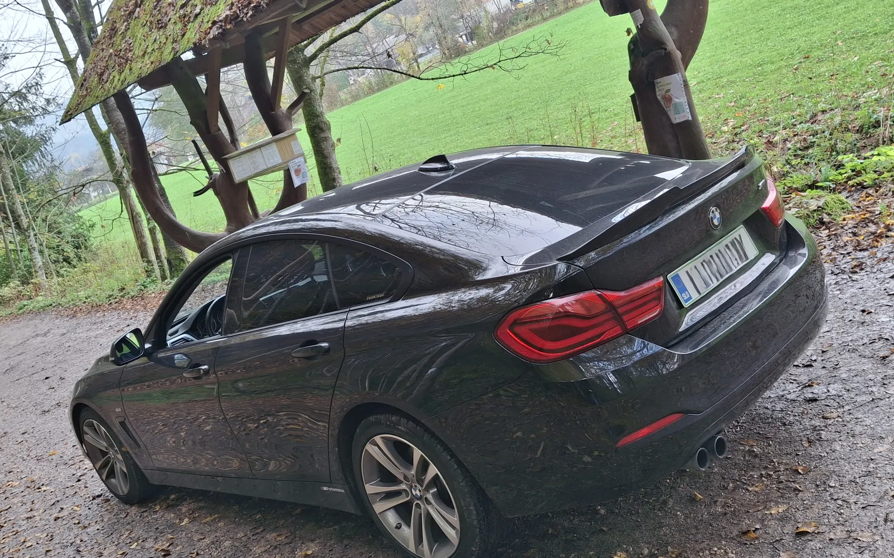 Zunanja slika - BMW Serija 4 - 420i Gran Coupé - 1
