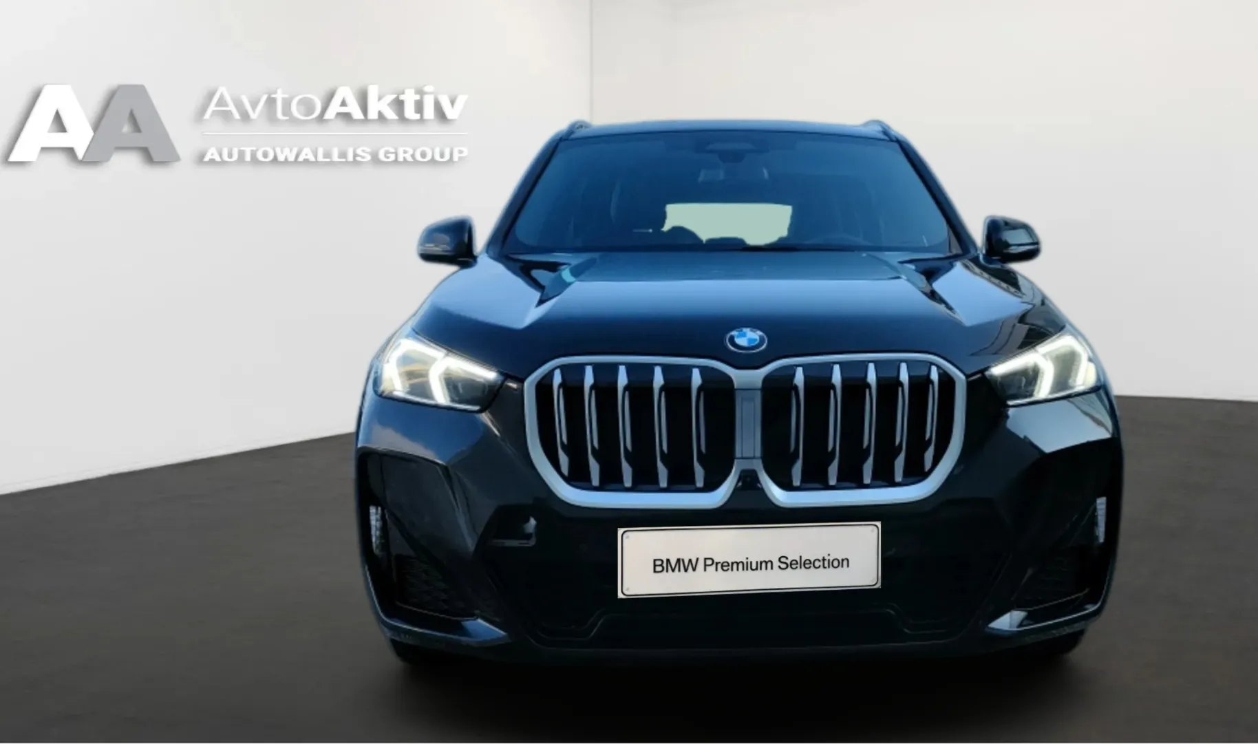 Zunanja slika - BMW X1 - sDrive20i - 11