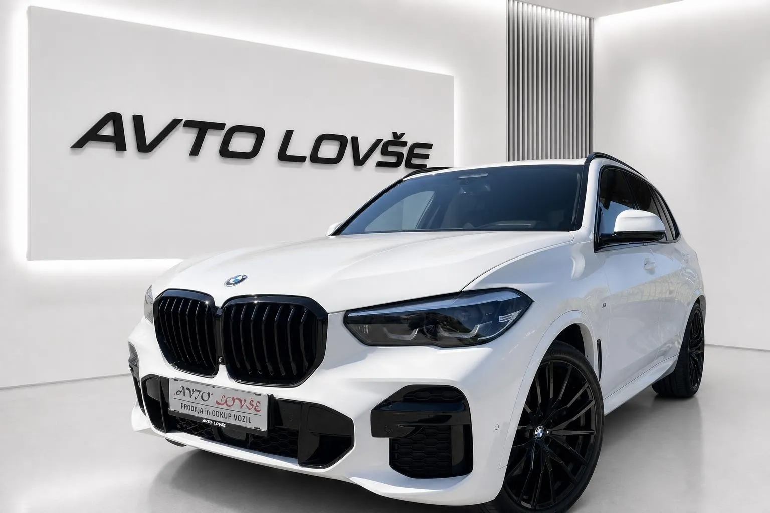 Zunanja slika - BMW serija X5: - xDrive30d-1 LASTNIK-KAM 360-LED-22 COL-ODLIČNA... - 1