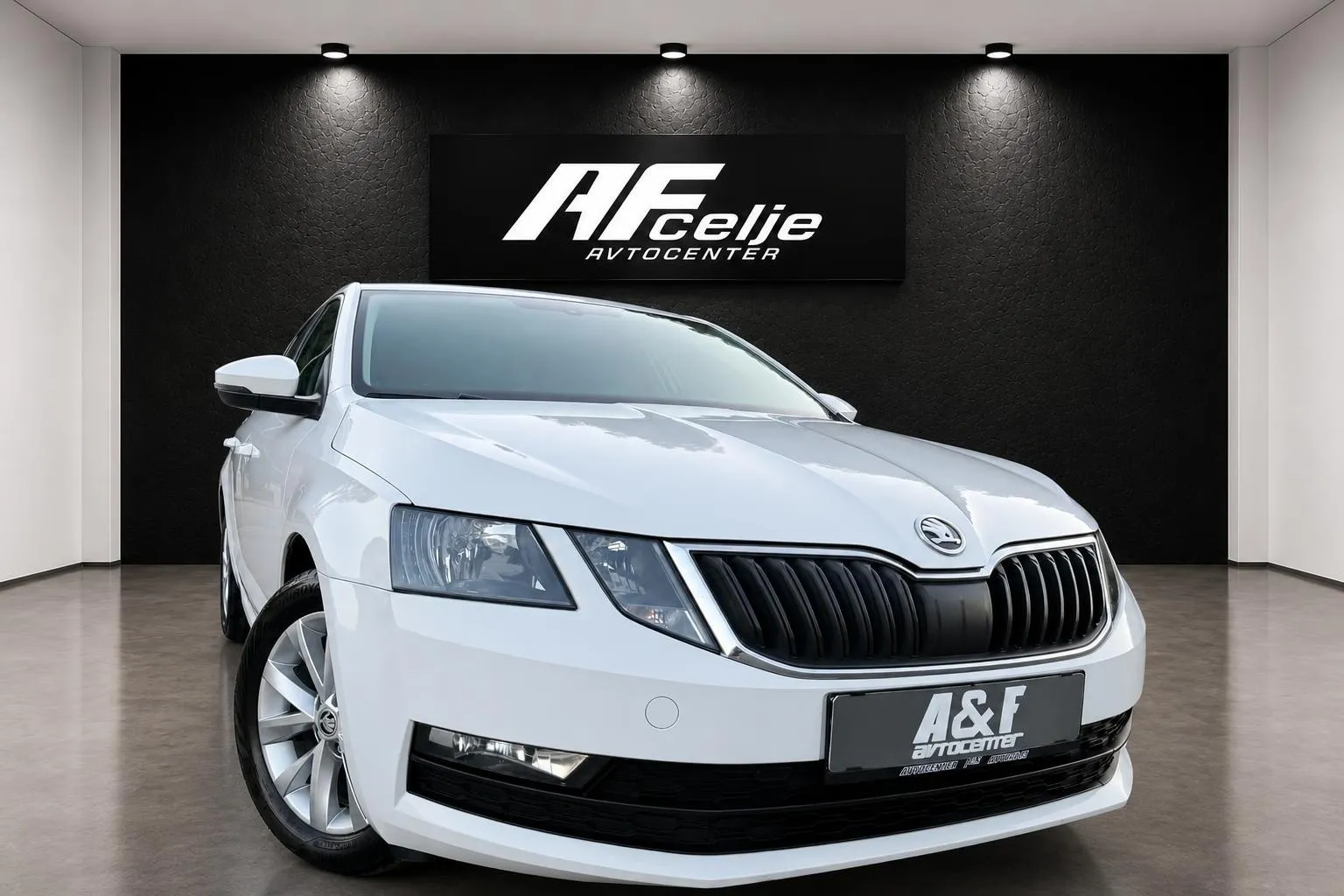 Zunanja slika - Škoda Octavia - 1.6 TDI-LED-LIZING ZA TUJCE-TEMPOMAT-PDC-... - 3