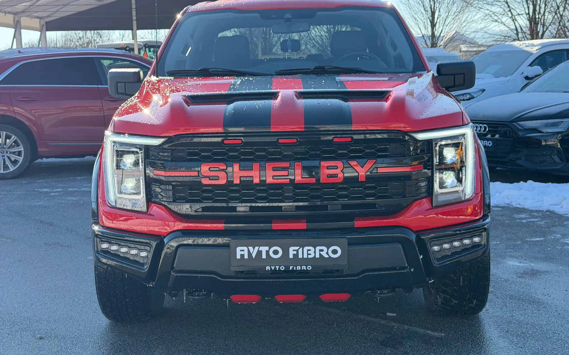 Zunanja slika - Ford F-Series F-100/F-150 - SHELBY XLT - 2