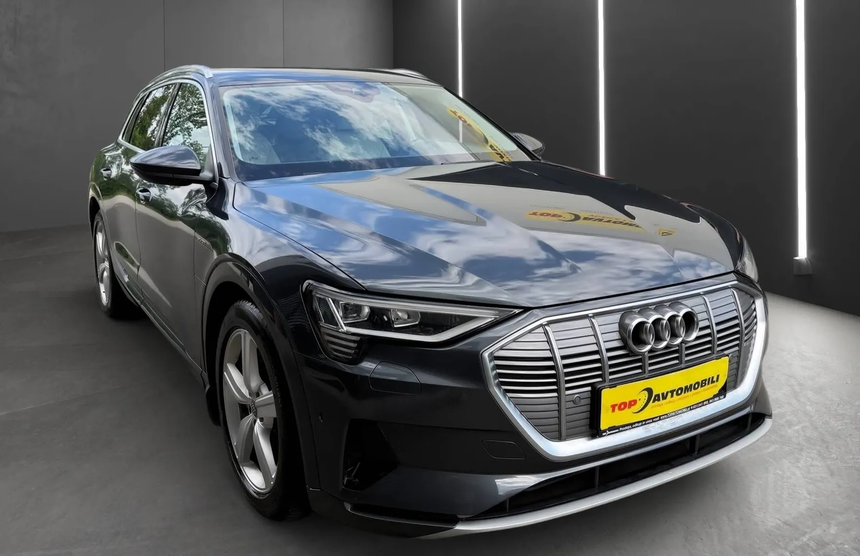 Zunanja slika - Audi e-tron - 50 QUATTRO FULL LED KAMERA ZRAČNO RADAR LINE ASSIS - 10