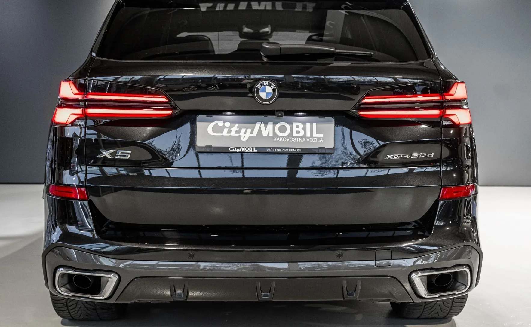 Zunanja slika - BMW X5 - serija : 3.0D-XDRIVE-M PAKET-HEAD UP-PANORAMA-NAVI-HK-21COL - 8