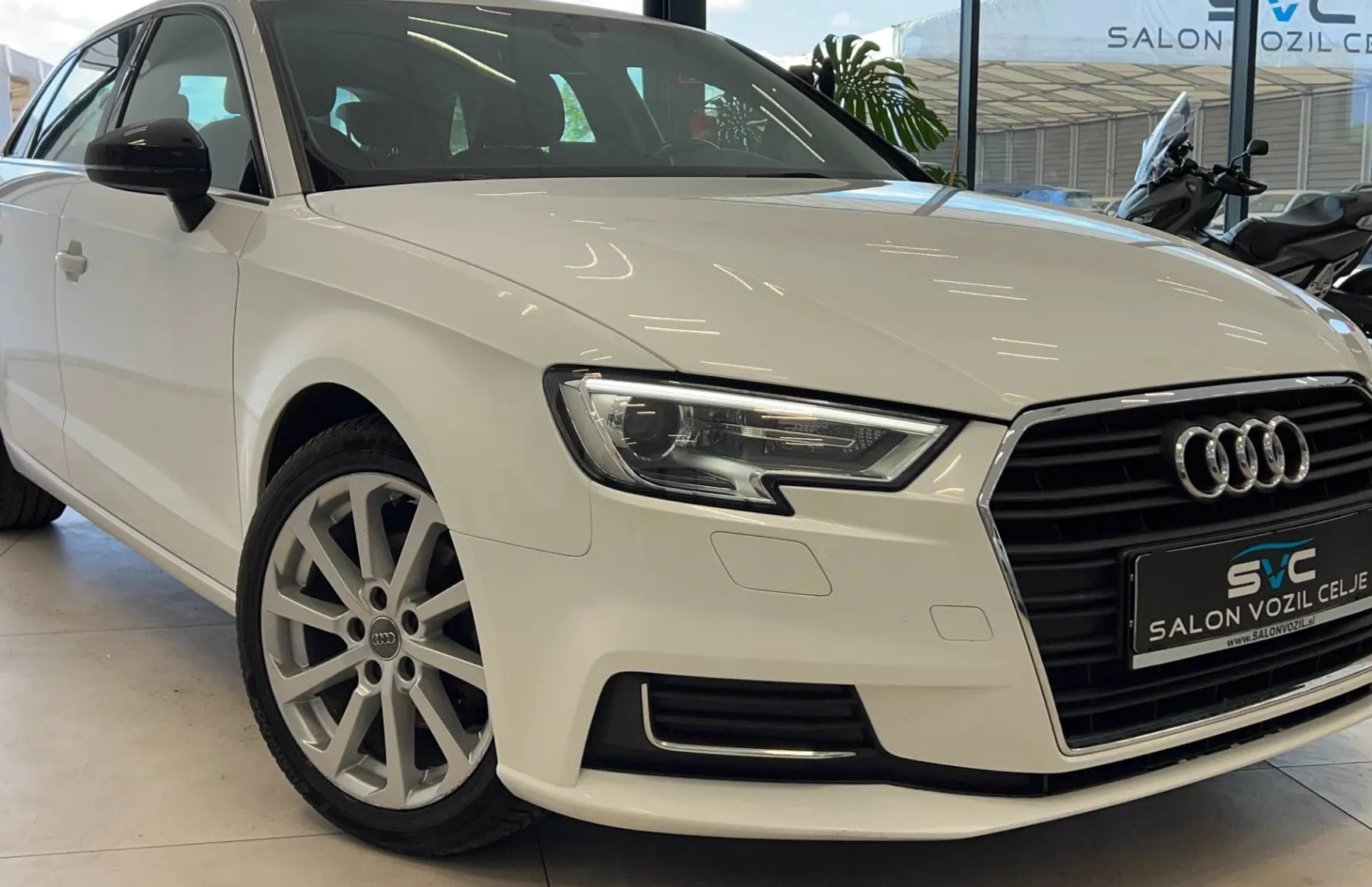 Zunanja slika - Audi A3 - 1.6TDI-DESIGN-XENON-NAVI-TEMP-DIGI-KLIMA-PDC-17C - 5