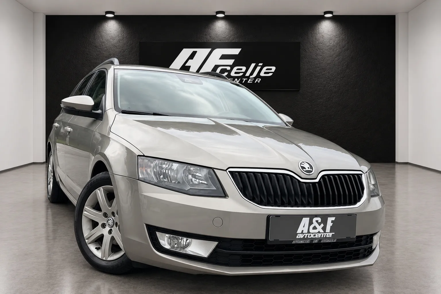 Zunanja slika - Škoda Octavia - 1.6 TDI-NAVIGACIJA-LIZING ZA TUJCE-TEMPOMAT - 3