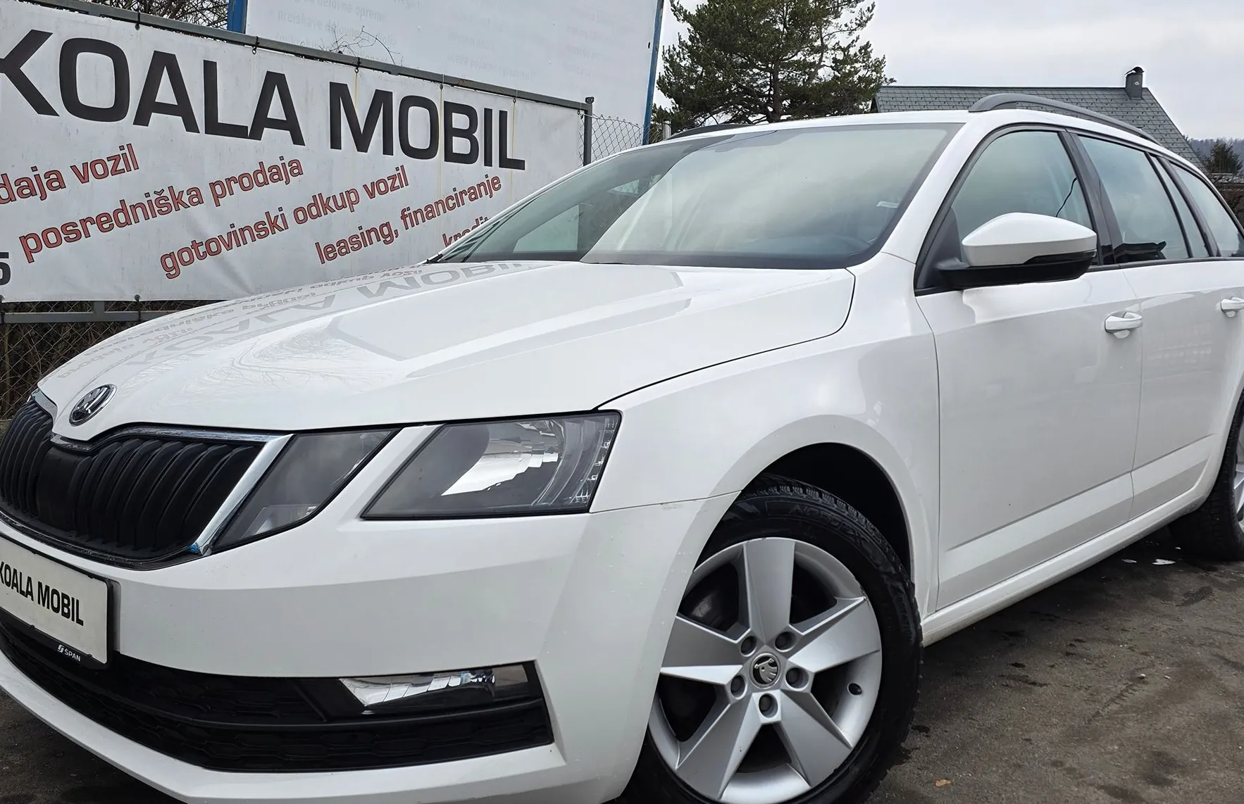 Zunanja slika - Škoda Octavia - 1.6 TDI STYLE ALU PLATIŠČA-MF-ZALSON-SLOVENSKA - 17