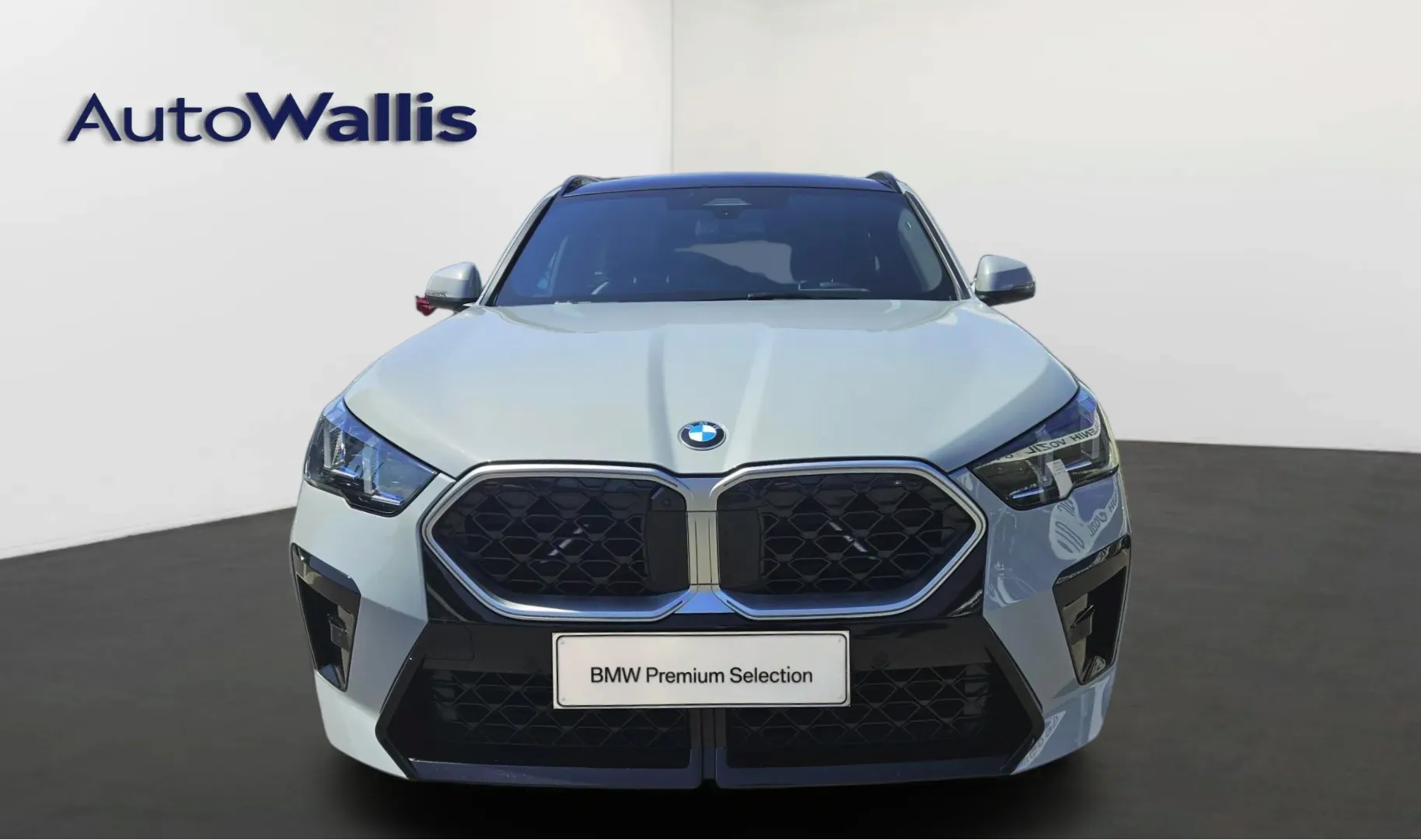 Zunanja slika - BMW X2 - xDrive20d - 9