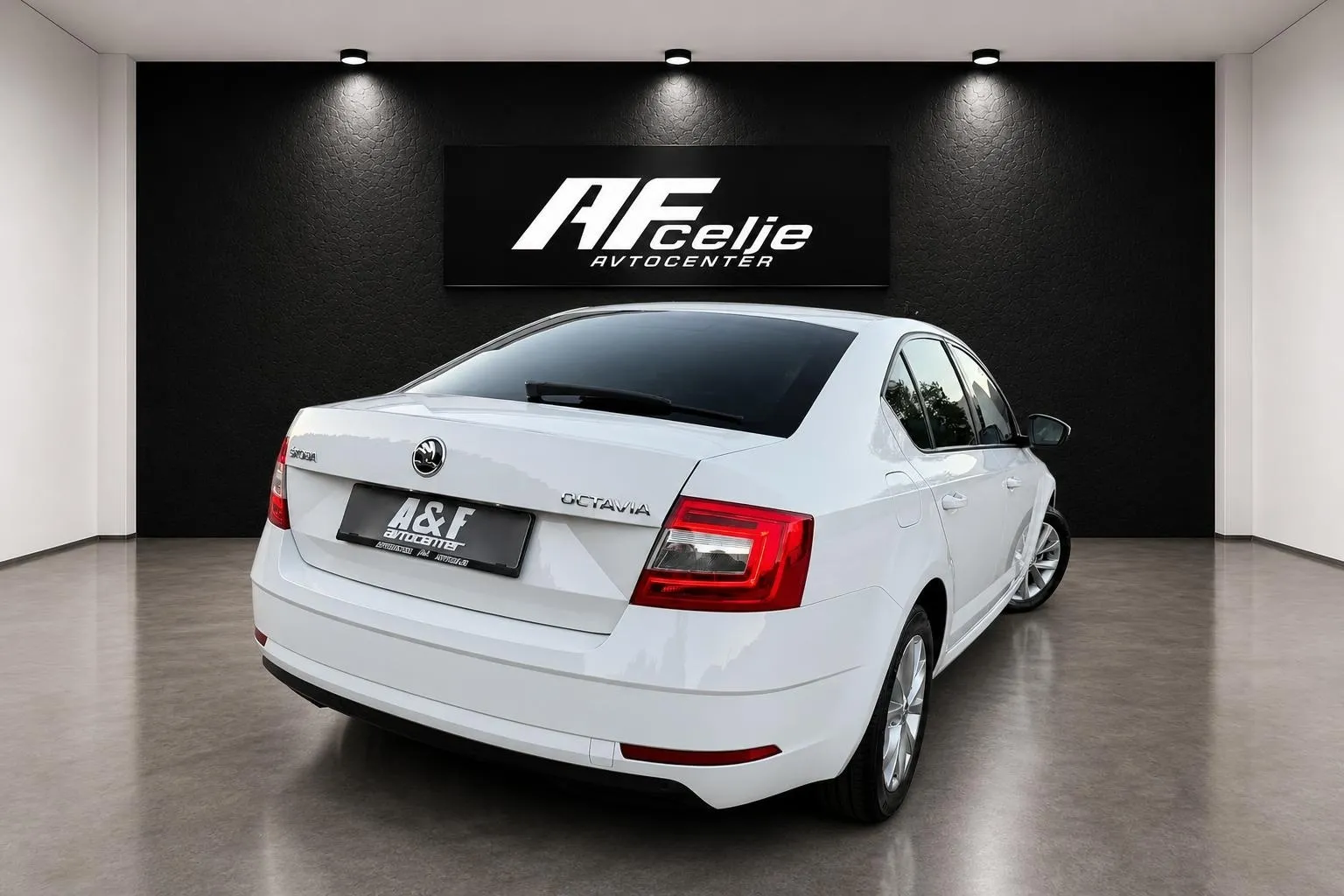 Zunanja slika - Škoda Octavia - 1.6 TDI-LED-LIZING ZA TUJCE-TEMPOMAT-PDC-... - 5