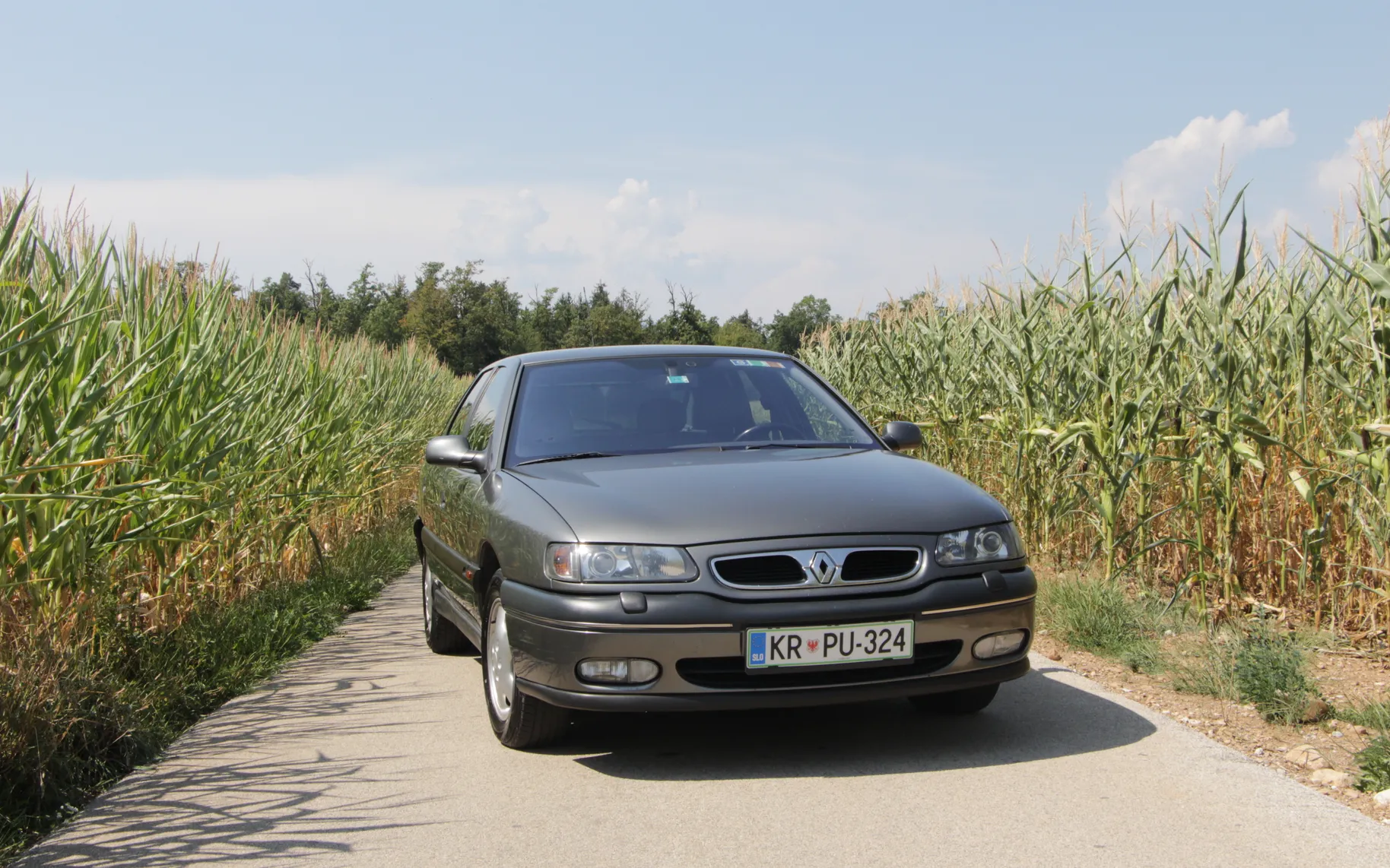 Zunanja slika - Renault Safrane - Fairway 2,5 - 3