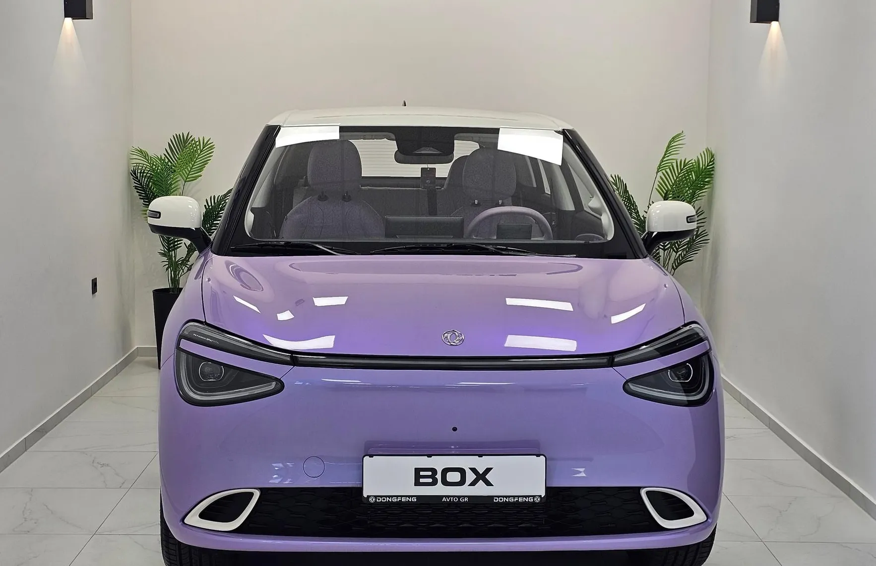 Zunanja slika - Dongfeng Box - Long Range-PURPLE- NA ZALOGI - 2