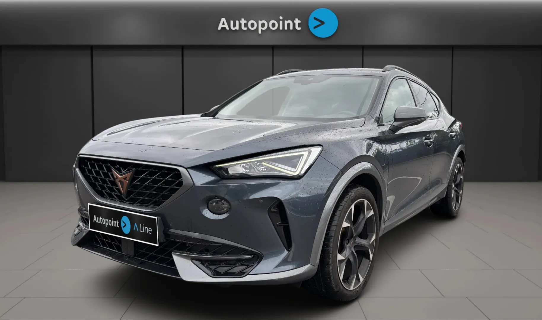 Zunanja slika - Cupra Formentor - Cupra - 6