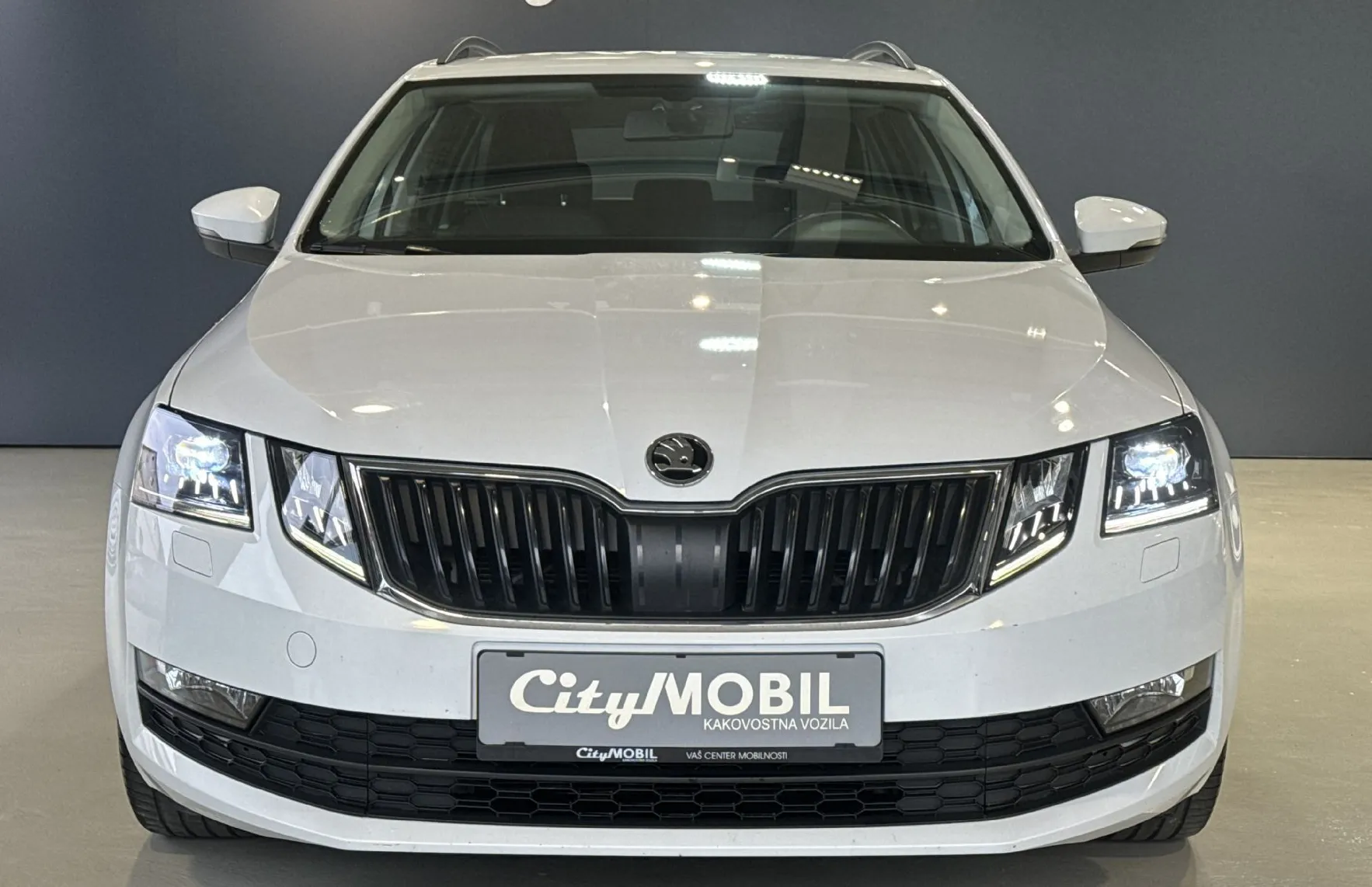 Zunanja slika - Škoda Octavia - 1-LASTNIK-SLO-RADAR-LED-AVTO KLIMA-PDC-ALU - 3