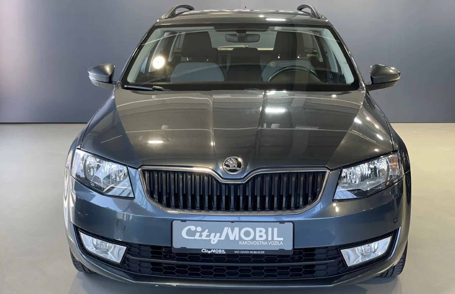 Zunanja slika - Škoda Octavia - VELIK SERVIS-NAVIGACIJA-TEMPOMAT-PDC-ALU-AVT.KLIMA - 2