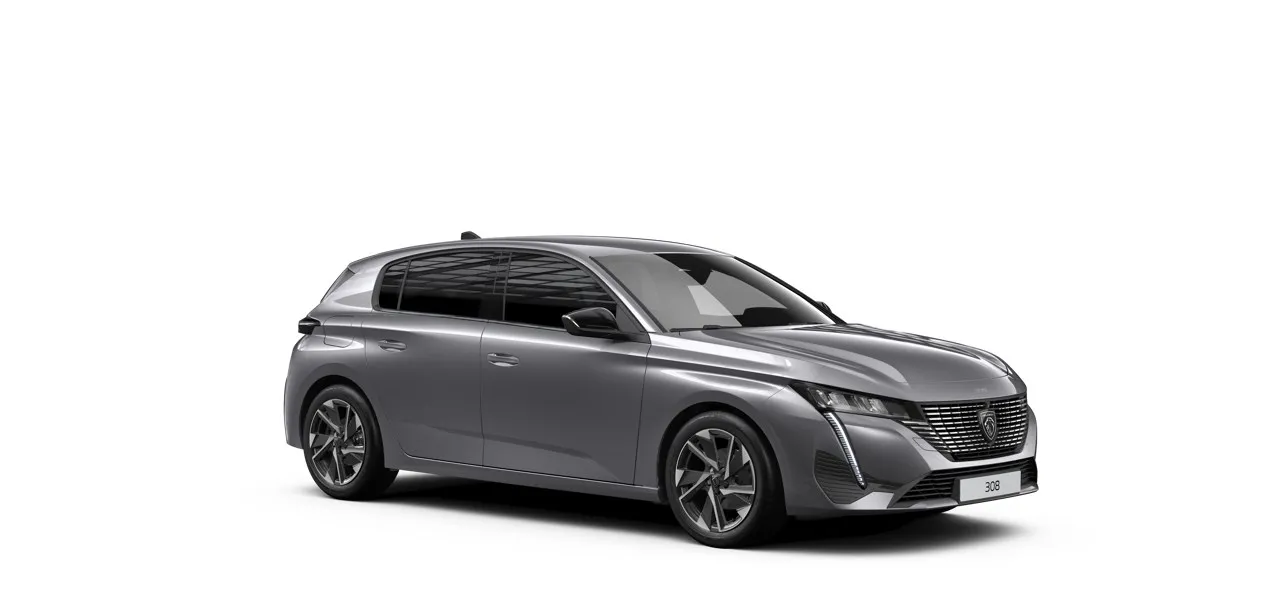 Zunanja slika - Peugeot 308 - 308 - 9