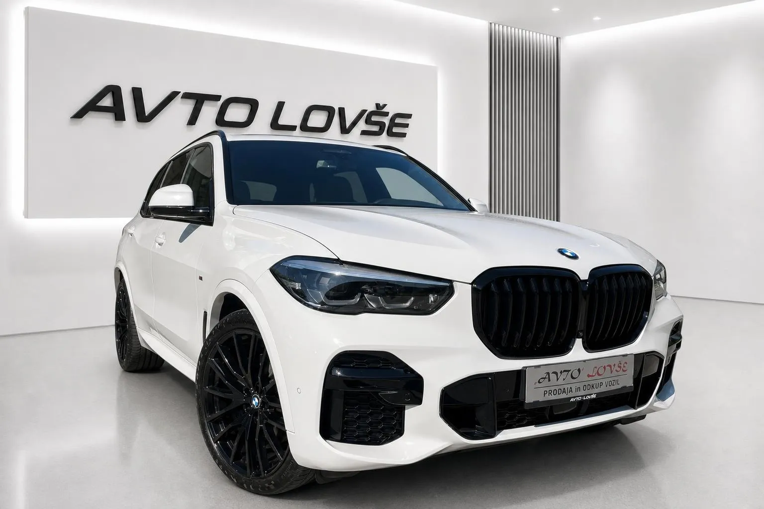 Zunanja slika - BMW serija X5: - xDrive30d-1 LASTNIK-KAM 360-LED-22 COL-ODLIČNA... - 2