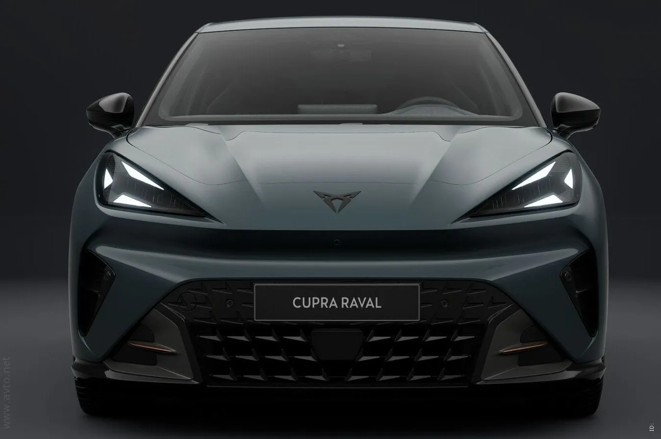 Zunanja slika - Cupra Raval - VZ... - 5