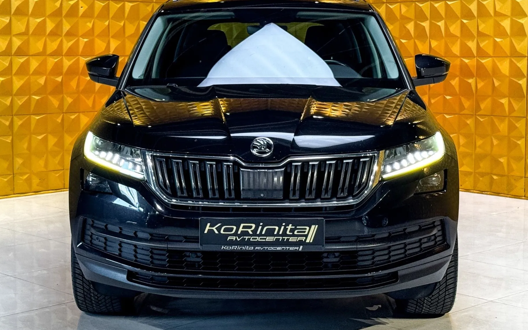 Zunanja slika - Škoda Kodiaq - 2.0 TDI 4X4 AUT-1. LASTNIK-SLOVENSKI-KLJUKA - 4
